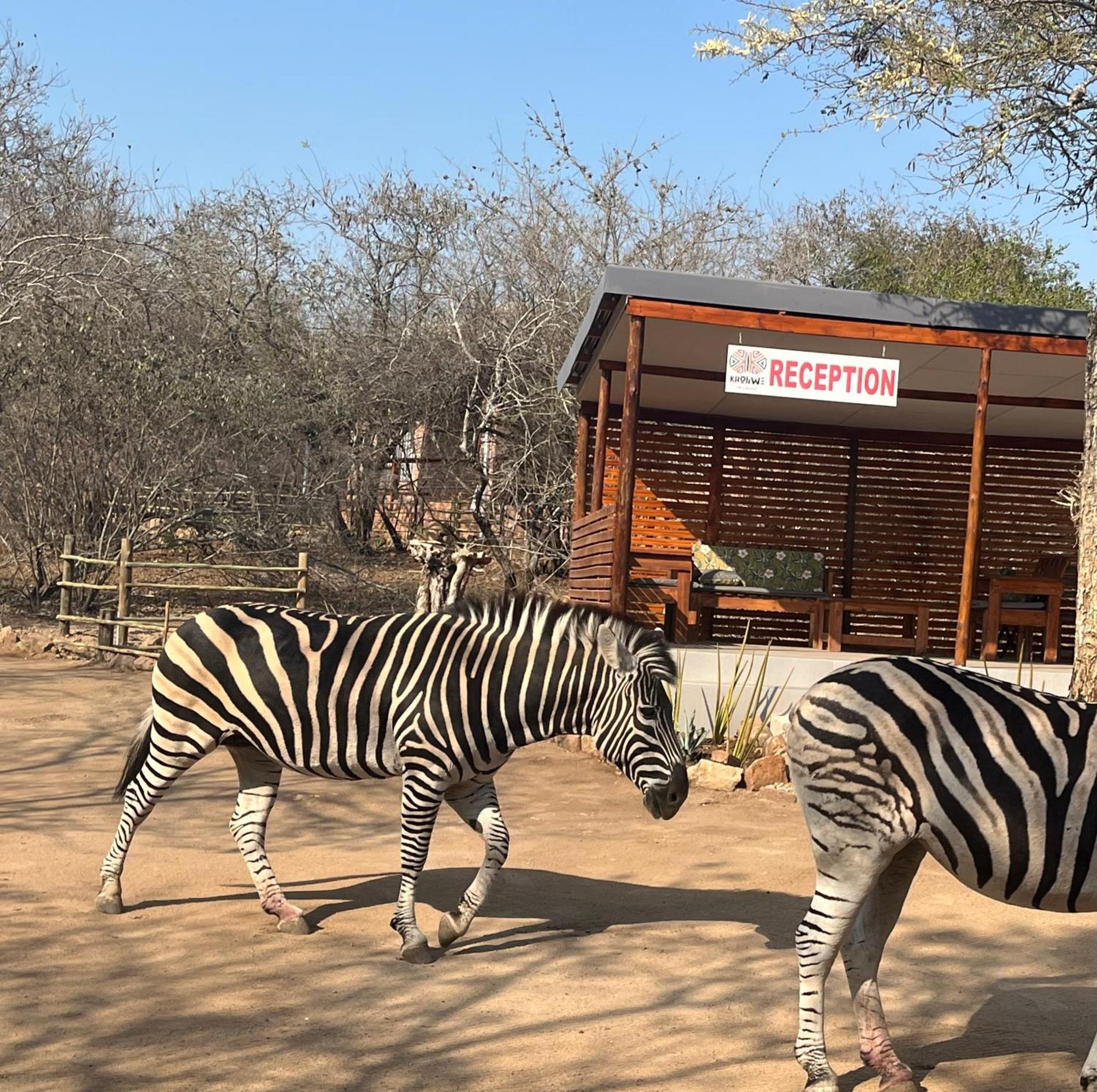 Kholiwe On Kruger Lodge & Safaris Marloth Park Exterior foto