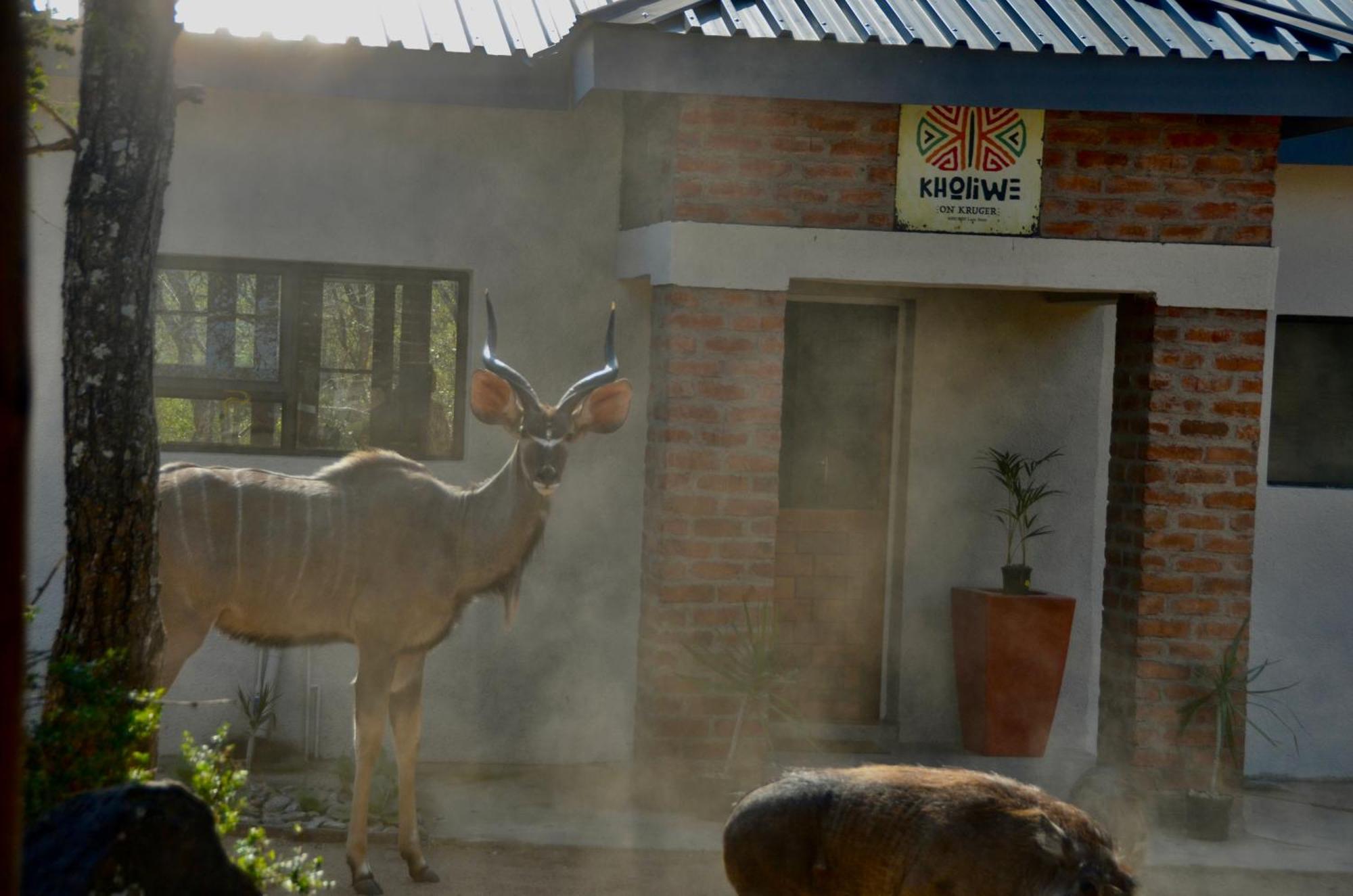 Kholiwe On Kruger Lodge & Safaris Marloth Park Exterior foto