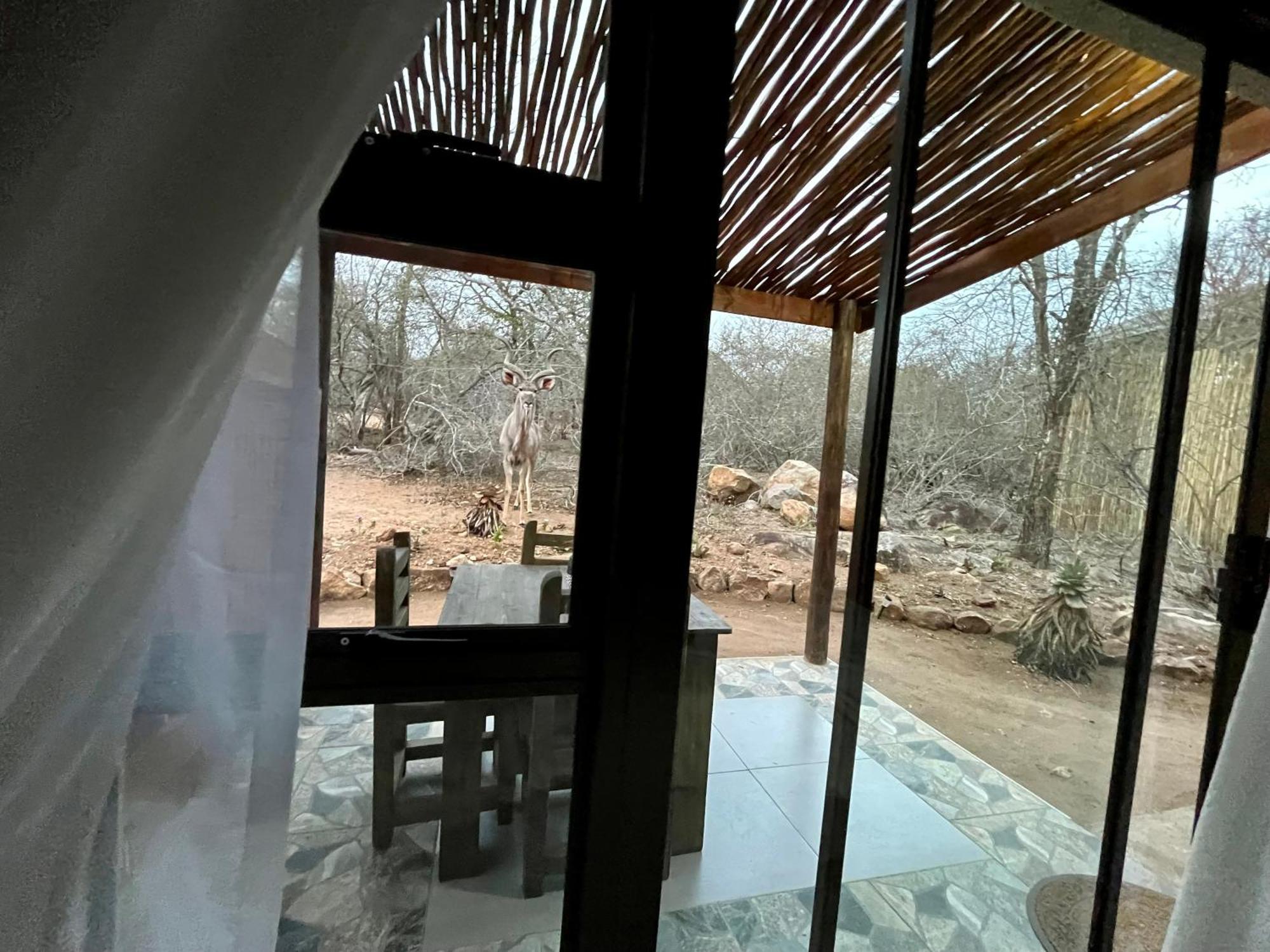 Kholiwe On Kruger Lodge & Safaris Marloth Park Exterior foto