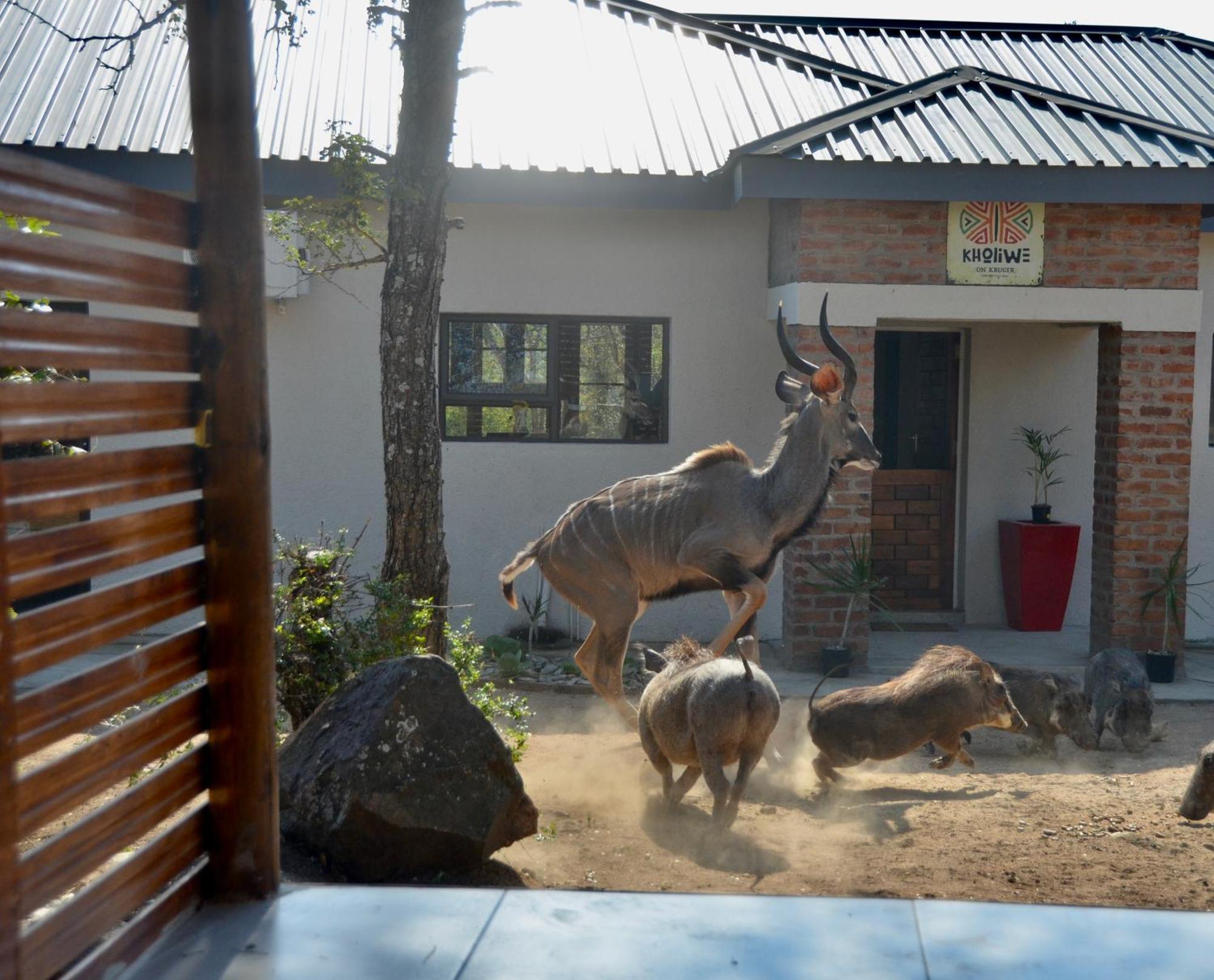 Kholiwe On Kruger Lodge & Safaris Marloth Park Exterior foto