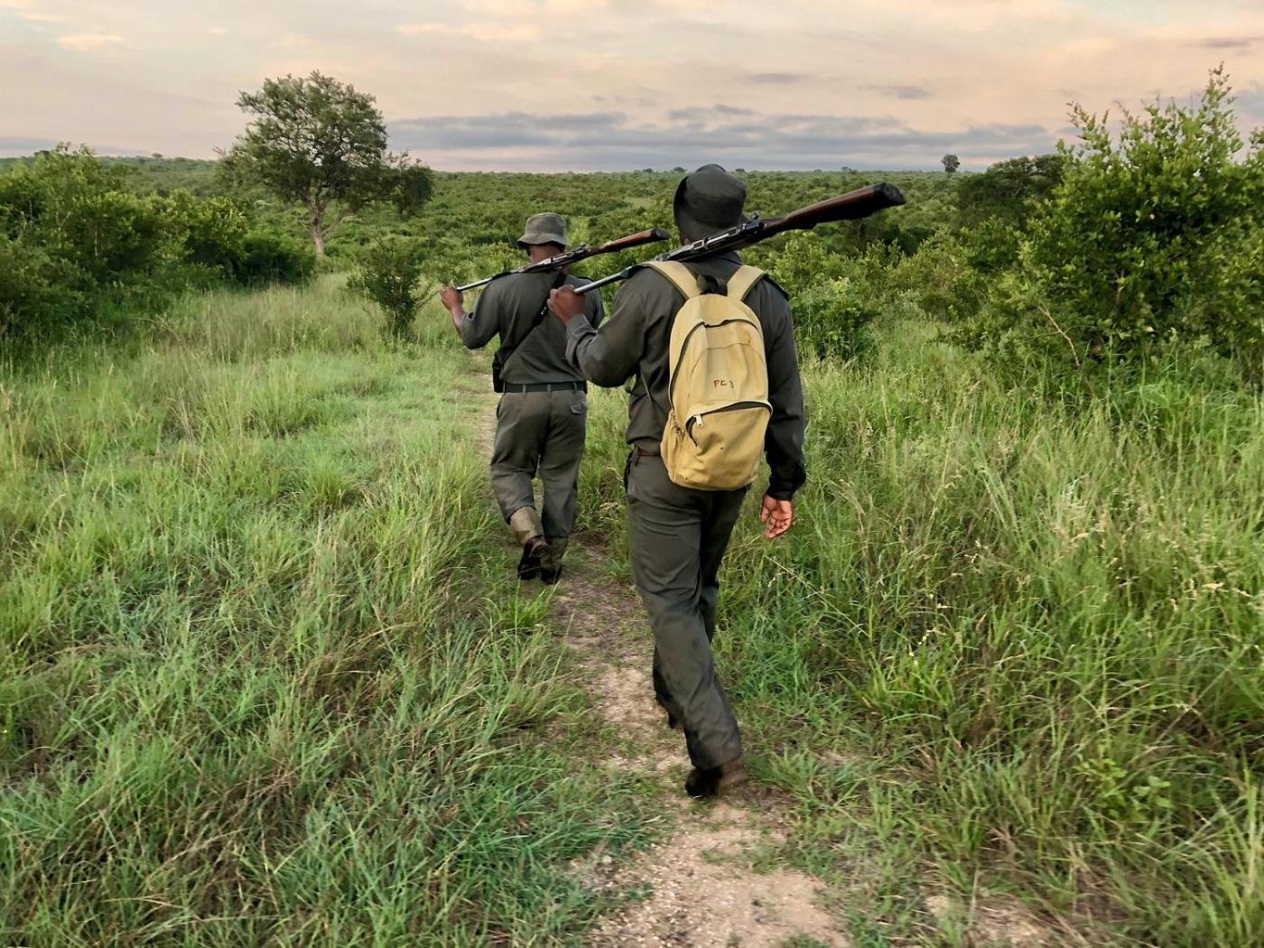 Kholiwe On Kruger Lodge & Safaris Marloth Park Exterior foto