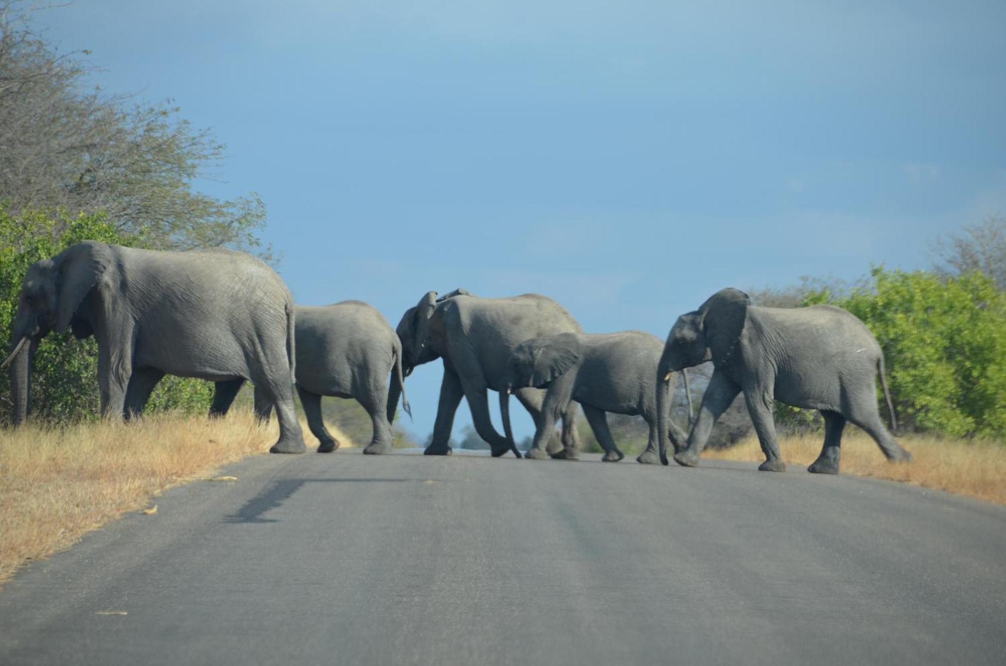 Kholiwe On Kruger Lodge & Safaris Marloth Park Exterior foto